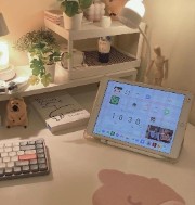 Éléphant 's avatar