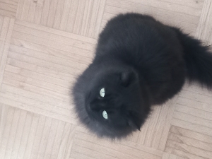 💕👊Verlinkrunde👊💕's avatar