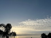 Debi🌹💌's avatar