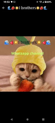 Jacqueline ❤️🐈's avatar