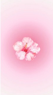 Héloïse_etc's avatar