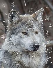 NewTherian 's avatar