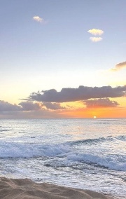 Chachou 🥰😍's avatar