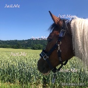 K…🎀🌷🌟's avatar