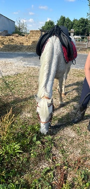 Juju 🌺✨'s avatar