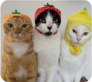 Ange🫶🏼's avatar