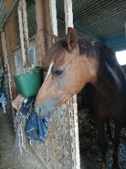 Lucie ❤️'s avatar