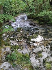 Une_Fleur_Ensoleillé 's avatar