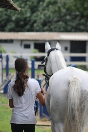 Mathilde et ses poneys's avatar