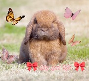 🎀🌺𝙼𝚢 𝚕𝚒𝚏𝚎🌺🎀's avatar