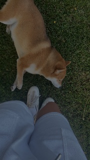 🪐Mila🪐's avatar