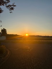 Shanaya🌟🎀's avatar