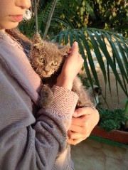 Greebooks🫶🏻🌺📚's avatar