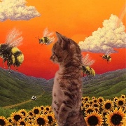 gigilatrottolaa__'s avatar