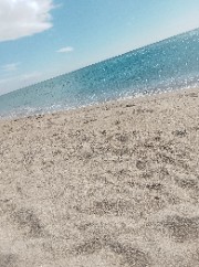 ╶⃝⃤🌿Astre🐾╶⃝⃤'s avatar