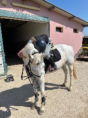 🤍LidiaeGalana🤍's avatar