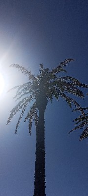 ❤️🫶❌'s avatar