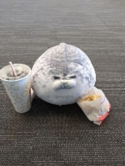 Panda💍🐬's avatar