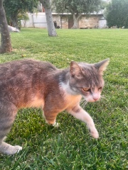 🤷🏽‍♀️'s avatar