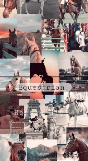 Stella ⭐️💛's avatar