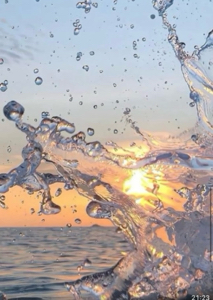 🌊🐚𝐒𝐮𝐦𝐦𝐞𝐫 𝐋𝐢𝐟𝐞🐚🌊's avatar