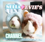 Nella and Evie 🥥🌷's avatar
