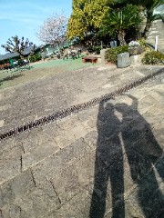 🐬Glow Vibe🌺's avatar