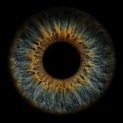 🩷🦩La Vie En Rose 🎀🌸's avatar