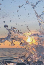 SummerLover!!'s avatar