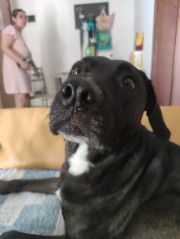 Baby_monstiz's avatar