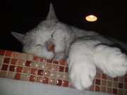 Unicorniiii's avatar