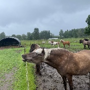 𝐞𝐝𝐢𝐭𝐡𝐡𝐡𝐡's avatar