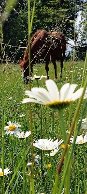 Giada@chiara's avatar