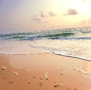 Pub et colab 's avatar