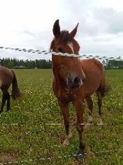 Emmaandluna's avatar