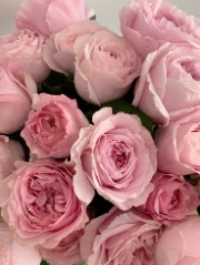 𝔾𝕝𝕠𝕨_𝕦𝕡 's avatar