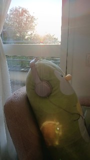 Maiiiᡣ𐭩 •｡ꪆৎ ˚⋅'s avatar