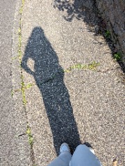 Paula🌷💋🩸🙈's avatar