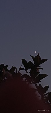 🫶🏻🌺's avatar