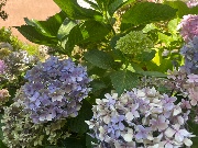 Le triooo 🫶🏼🫶🏼's avatar