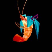 Lily🦐🎀✨️'s avatar