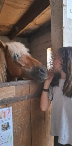 M’🐴🇮🇹's avatar