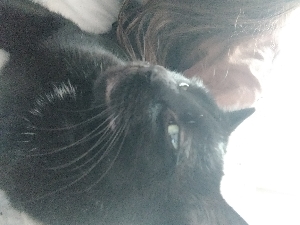 🌸Yumi🌸's avatar