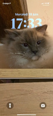 Evaaa 🤍🎧's avatar