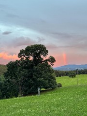 🫧itzz.your fav girl ☺️'s avatar