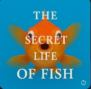 Secret Life of fishes! 's avatar