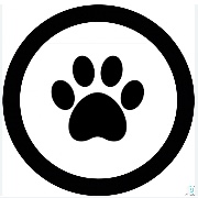 🩵🩵i like my🩵🩵's avatar