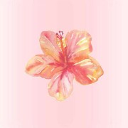 🌺_ A_clean_girl 🌺's avatar