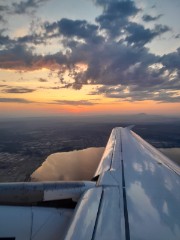 Amanda 🧸🎱's avatar