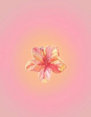 Prune 💋❤'s avatar